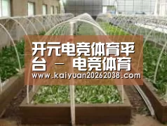 环境展示五