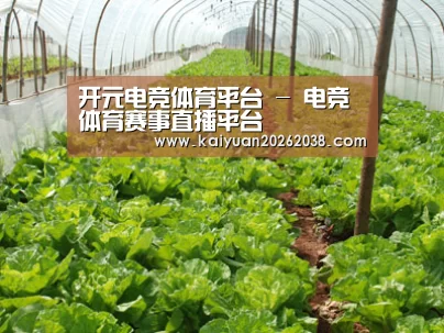 种植基地五