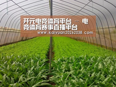 种植基地四