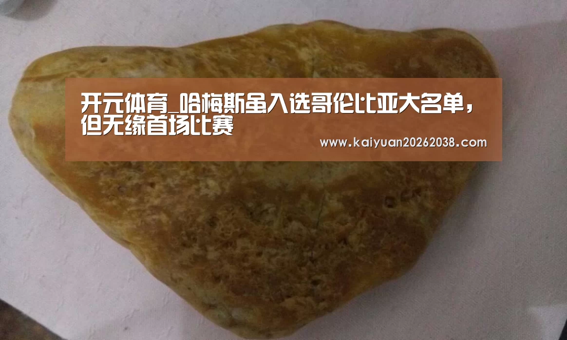 开元体育_哈梅斯虽入选哥伦比亚大名单,但无缘首场比赛(图3) 开元赛事